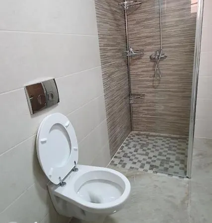 Apartma Vlado 公寓 科佩尔